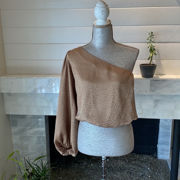 Show Me Your Mumu One Shoulder Balloon Sleeve Copper Cheetah Crop Top Si… - Picture 2 of 11